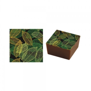 SD118 Serigrafia con foglie verdi e gialle per cioccolato - 15 fogli Pavoni